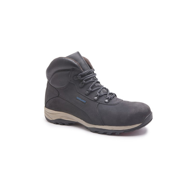 Botin de Seguridad 3431