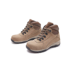 Botin de Seguridad 3431